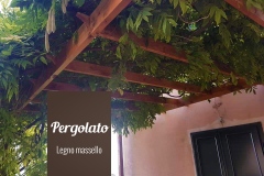 Pergolato_piante_legno